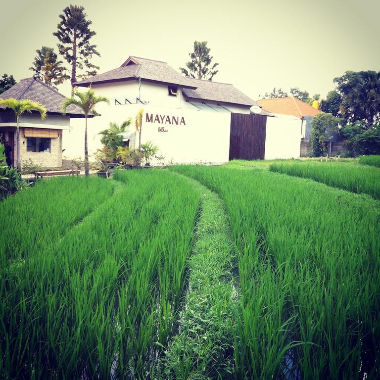 Mayana Villas Canggu Exteriér fotografie