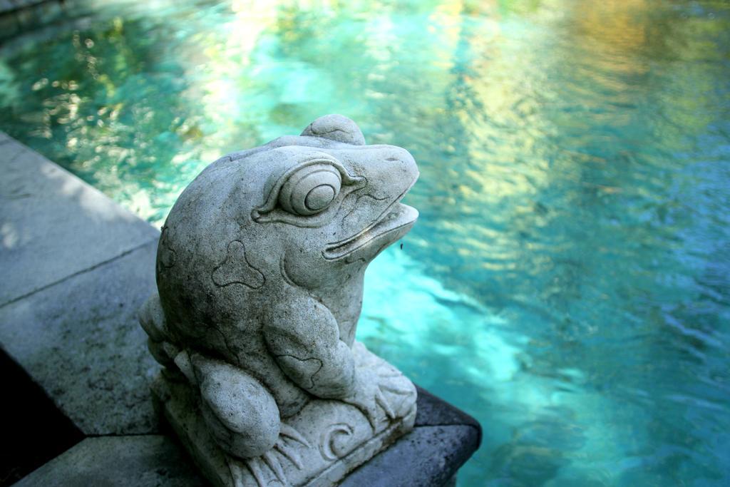 Mayana Villas Canggu Exteriér fotografie